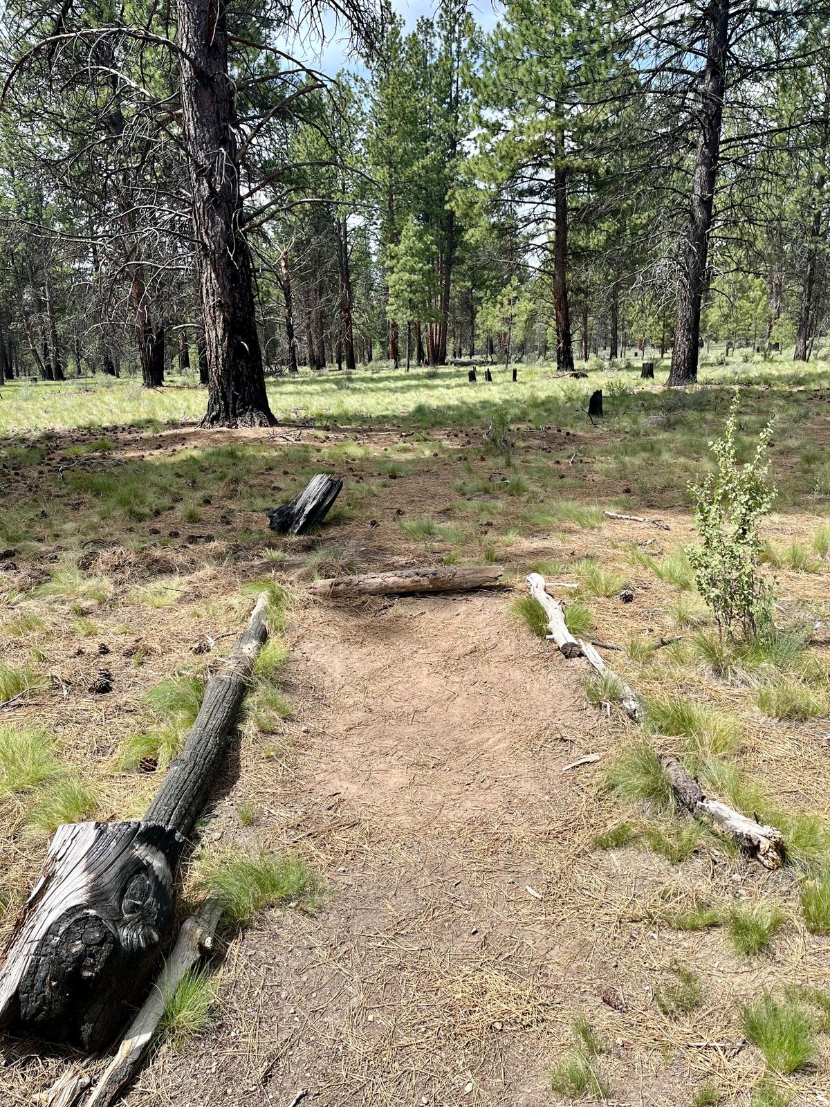 Tee pad on hole 8