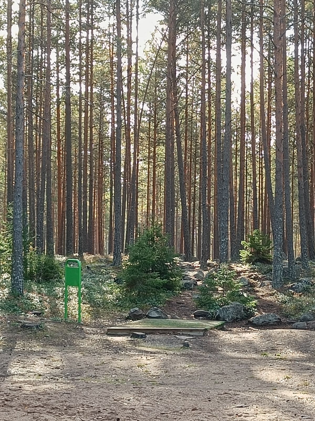 Nice forest surrounds the course