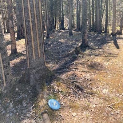 Hole 8