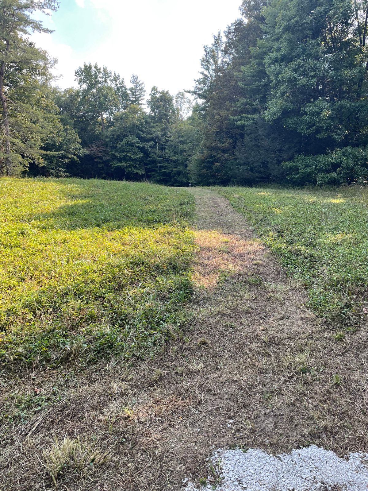 Finishes in the back right corner of the field.  Tee pad for 7 is down the trail to the right of the basket.  