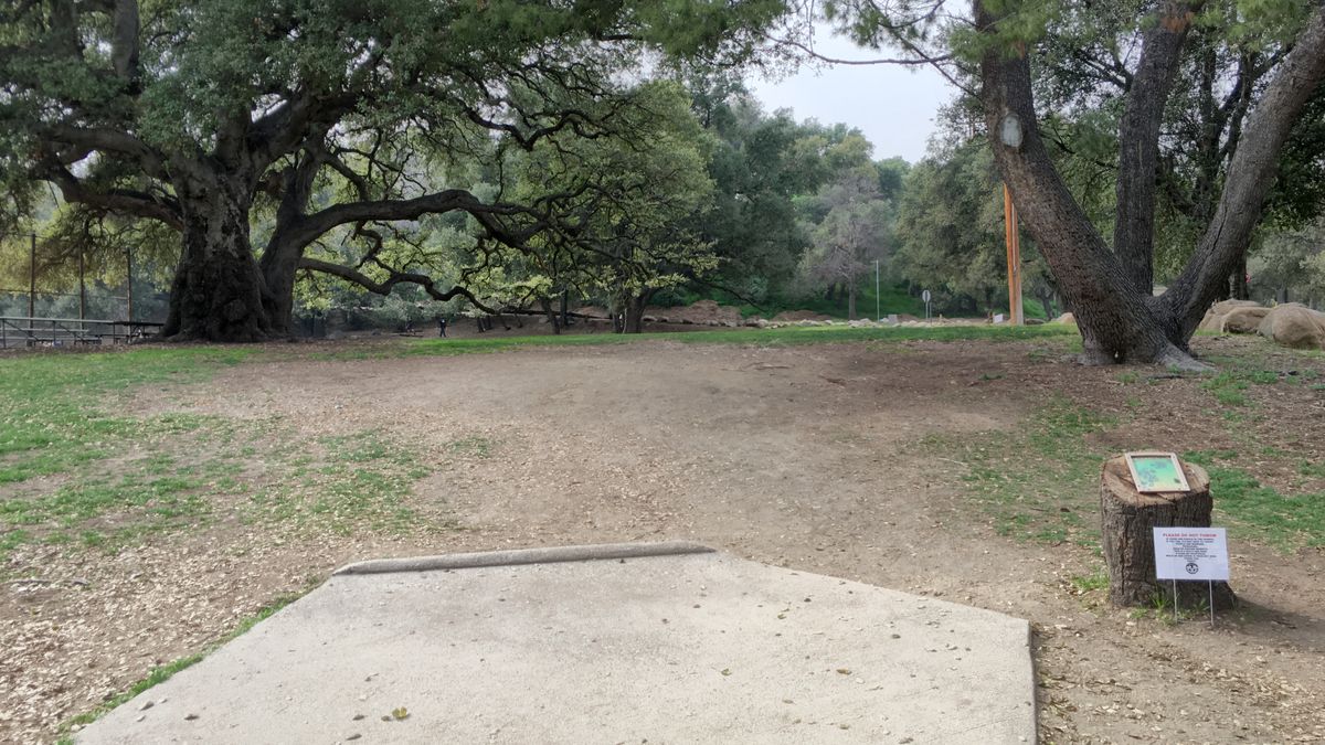 Hole 1
