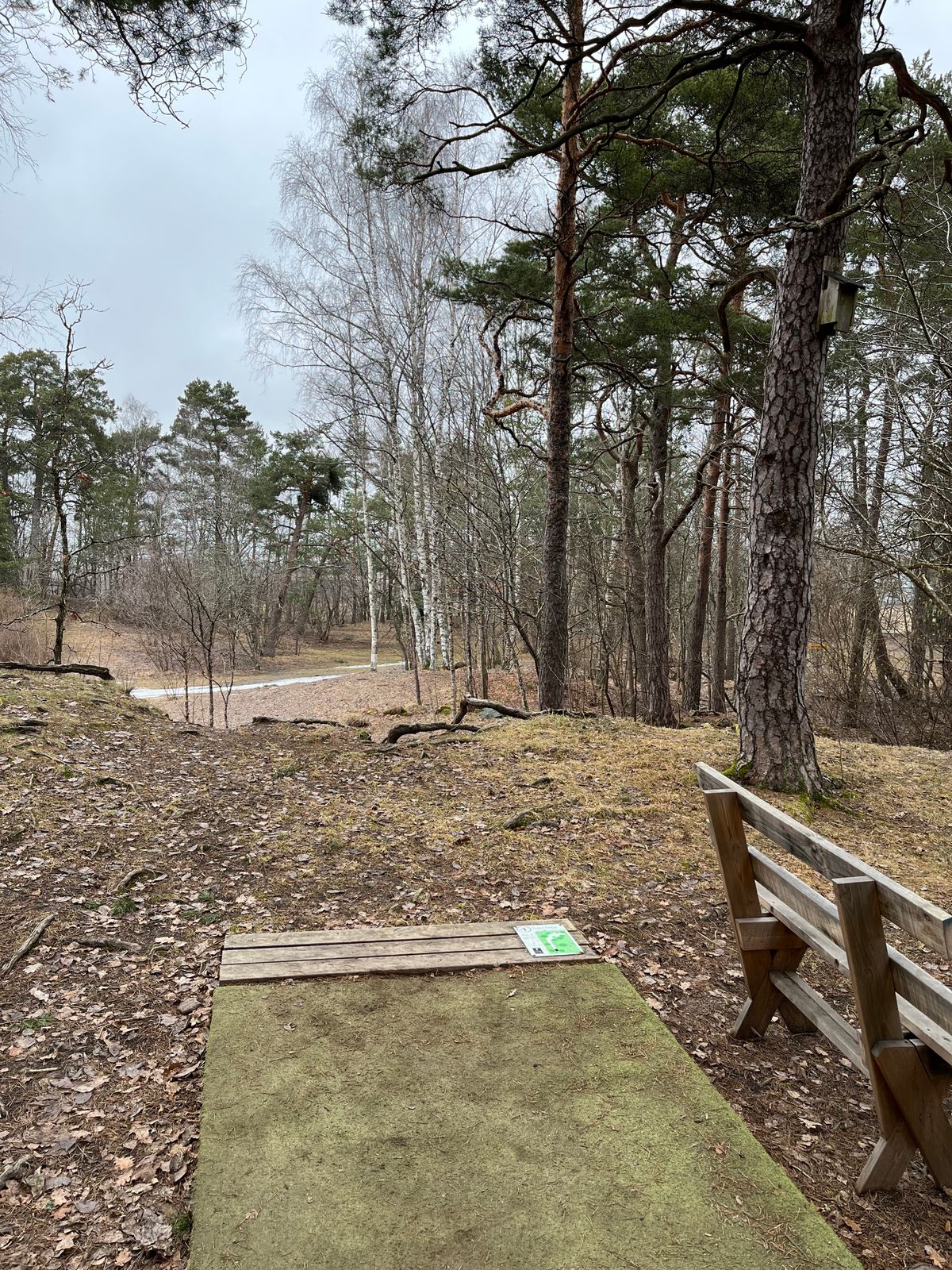 Hål 4 (svart)