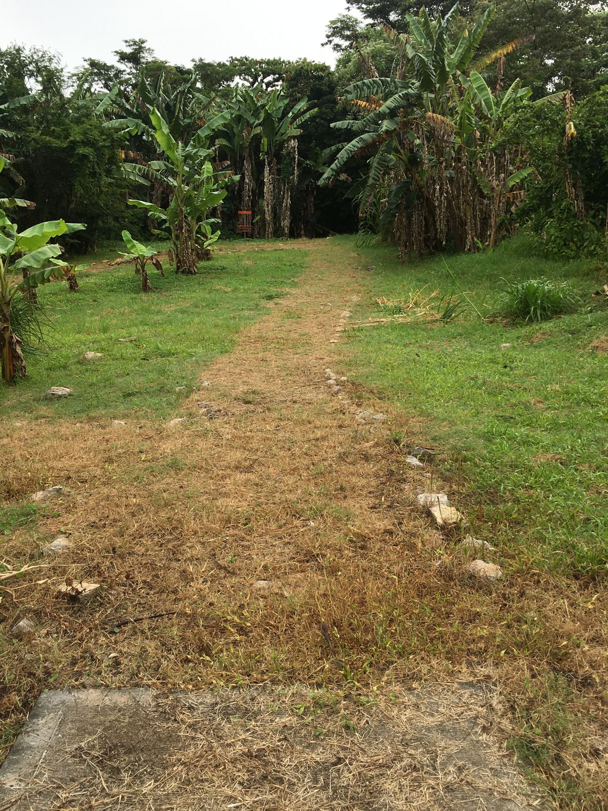 Hole 7 Short Tee