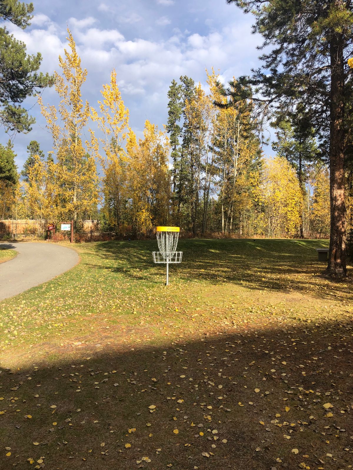 Practice basket