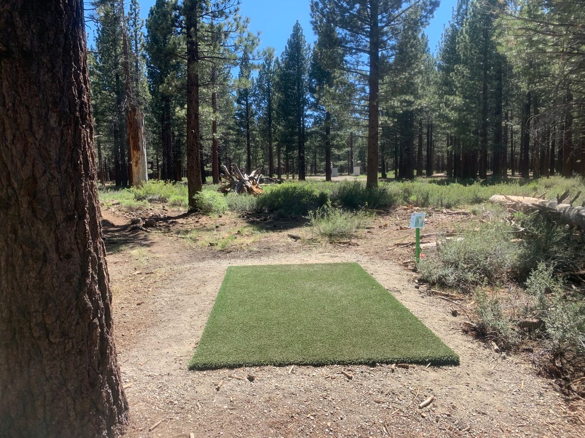 Absolutely beautiful tee pads - this is Tee 3
