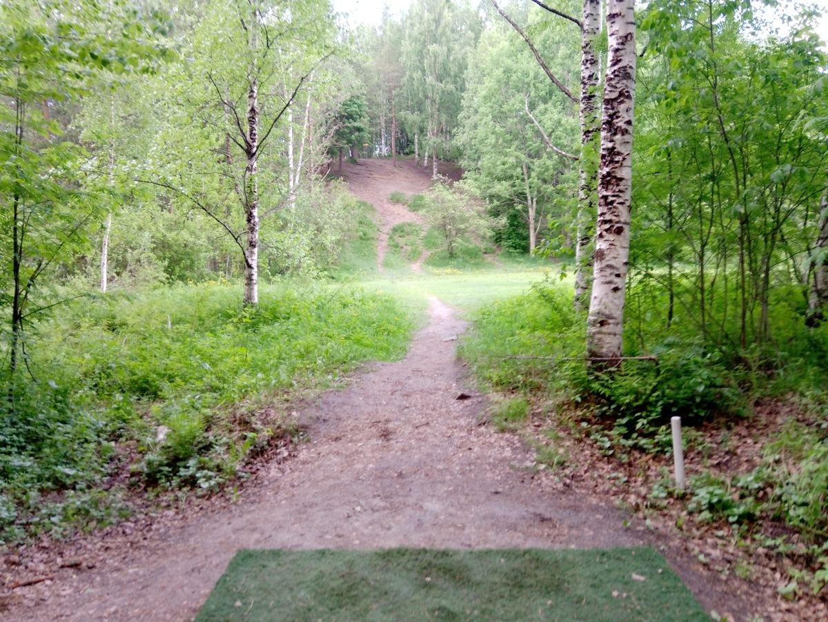 Hole #8 (10.6.2022).