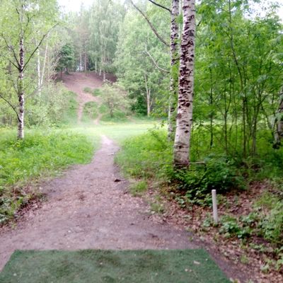Hole #8 (10.6.2022).