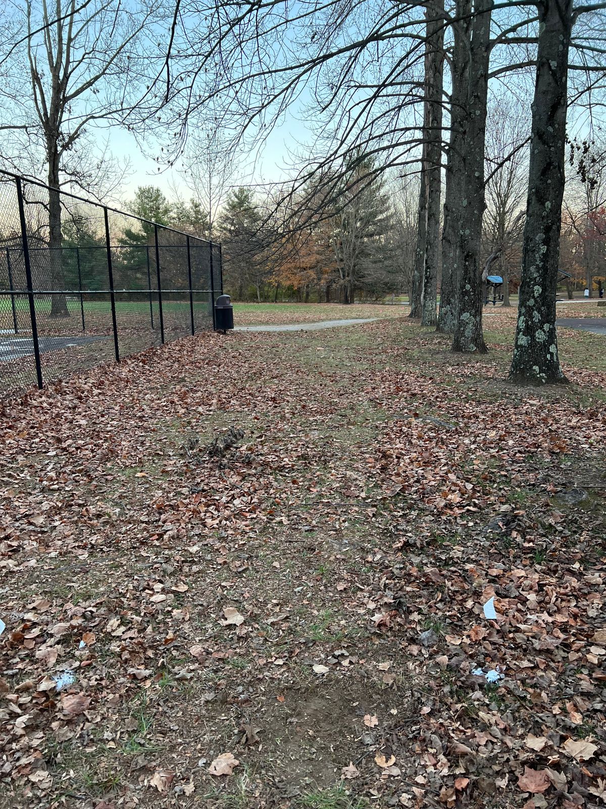 Hole #6