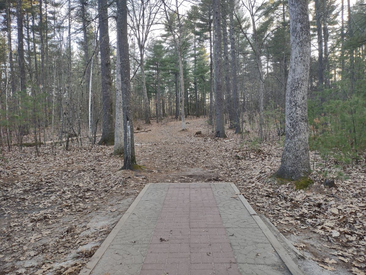 Hole 15