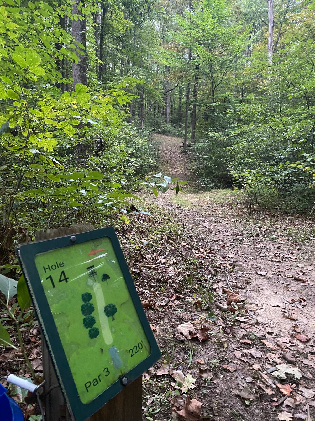 Hole 14