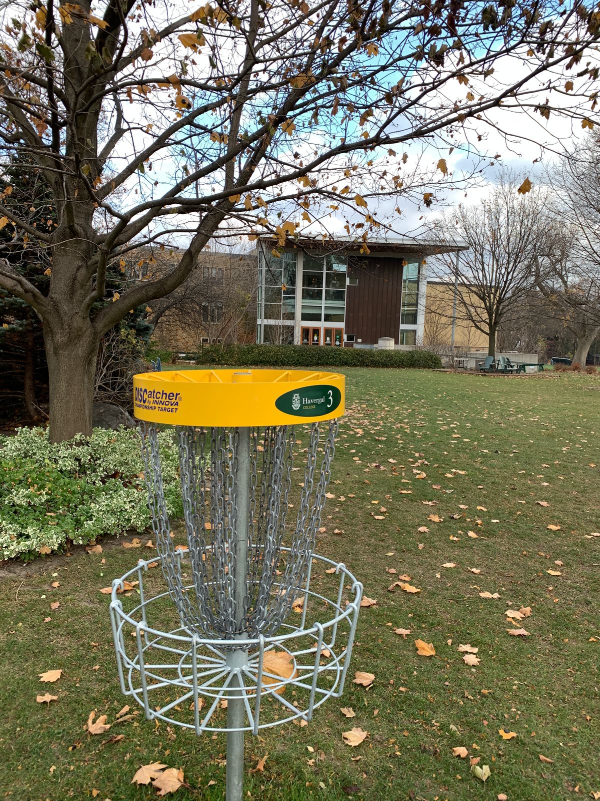 Hole 3 basket.