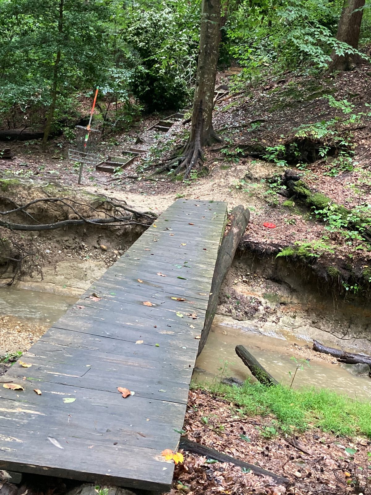 Bridge to basket 14