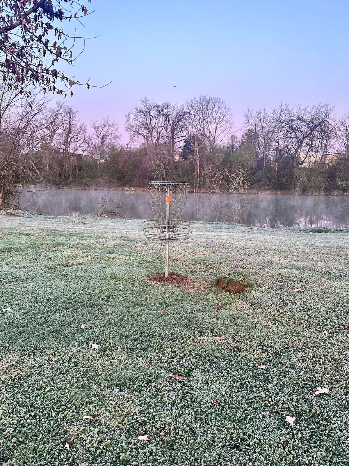 Hole 7 basket