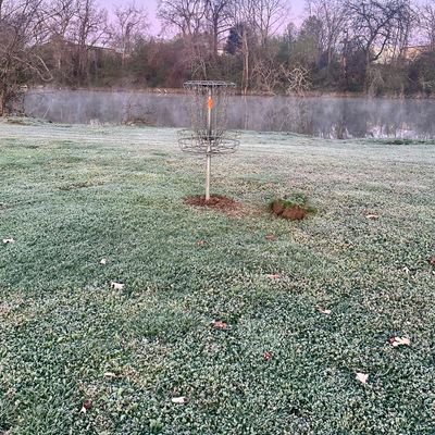 Hole 7 basket