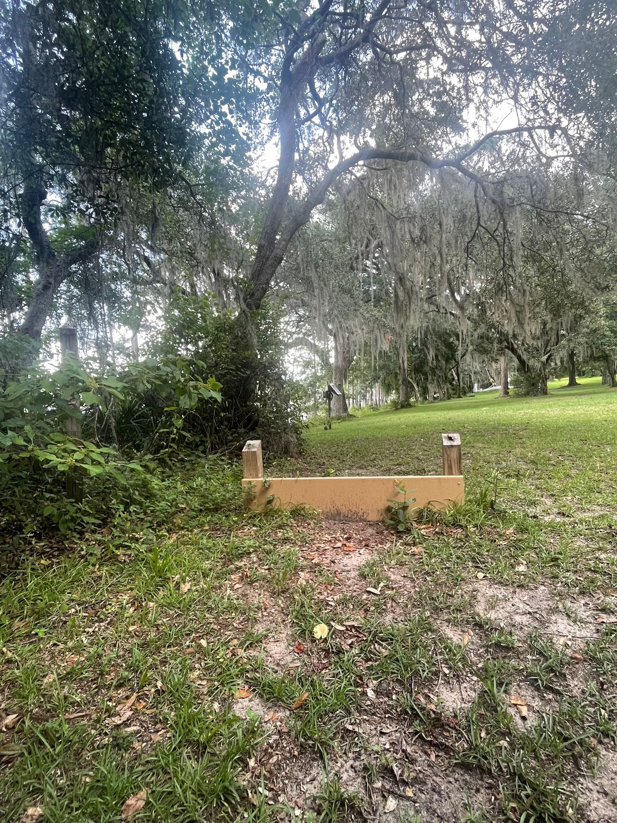 Hole 6 tee