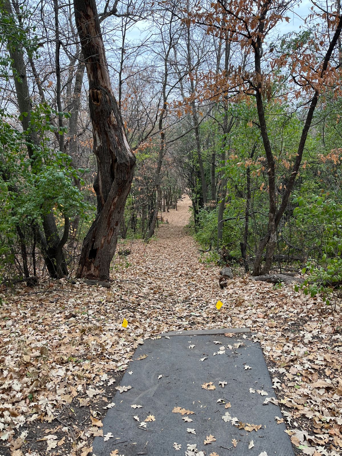 Hole 10 Teepad
