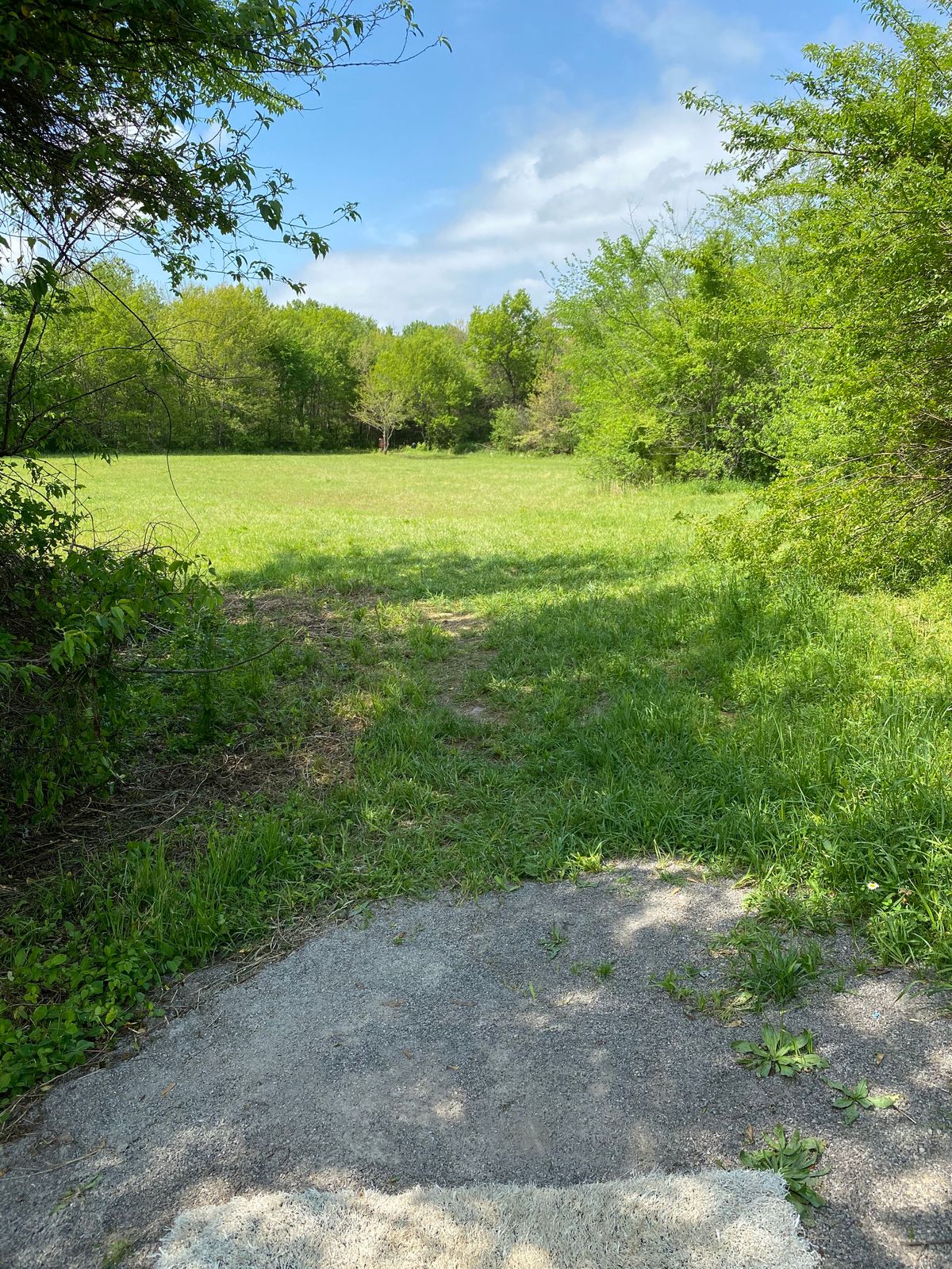 Hole 9 - Straight shot