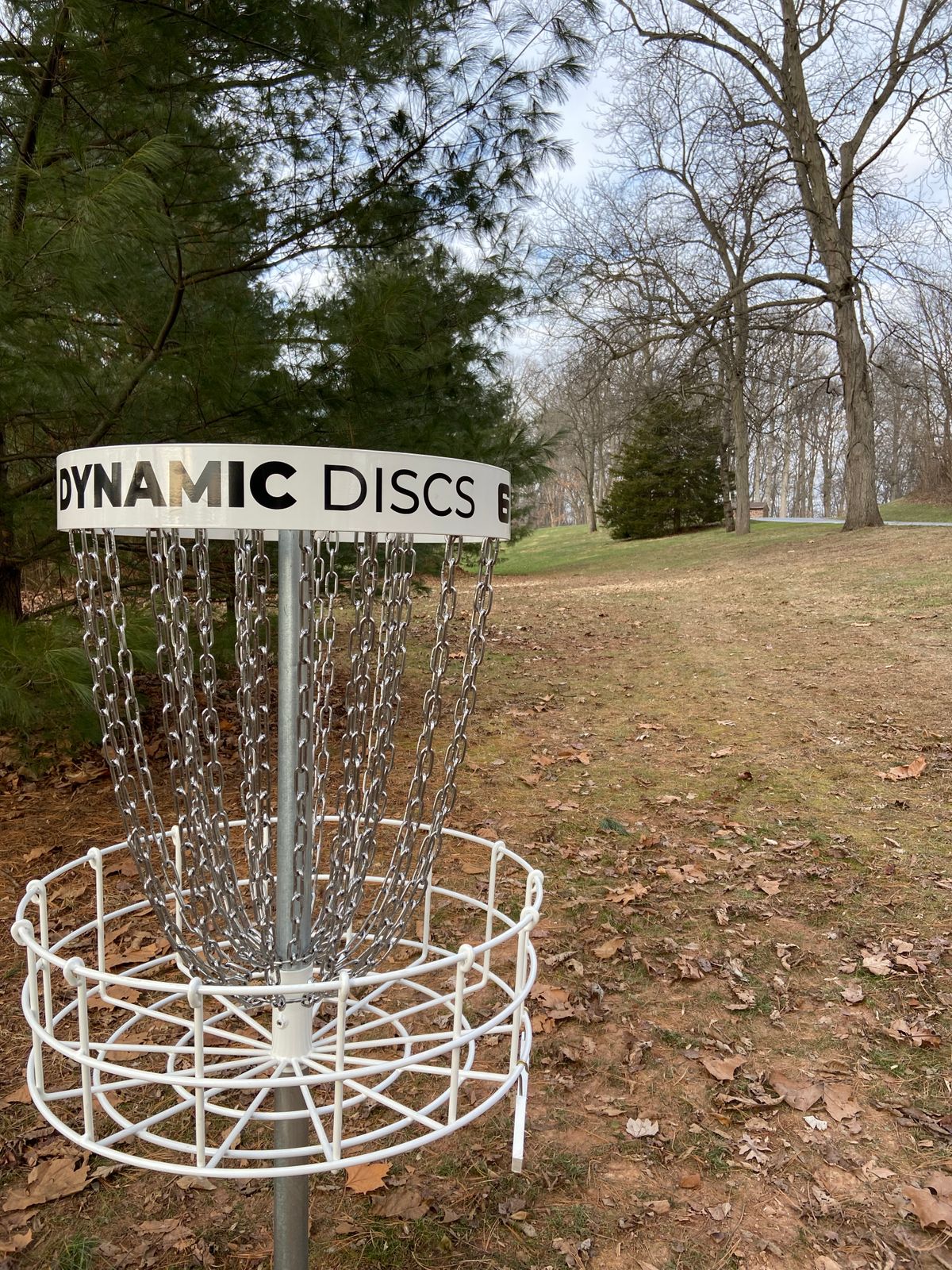 Hole 6 basket looking towards tee pad