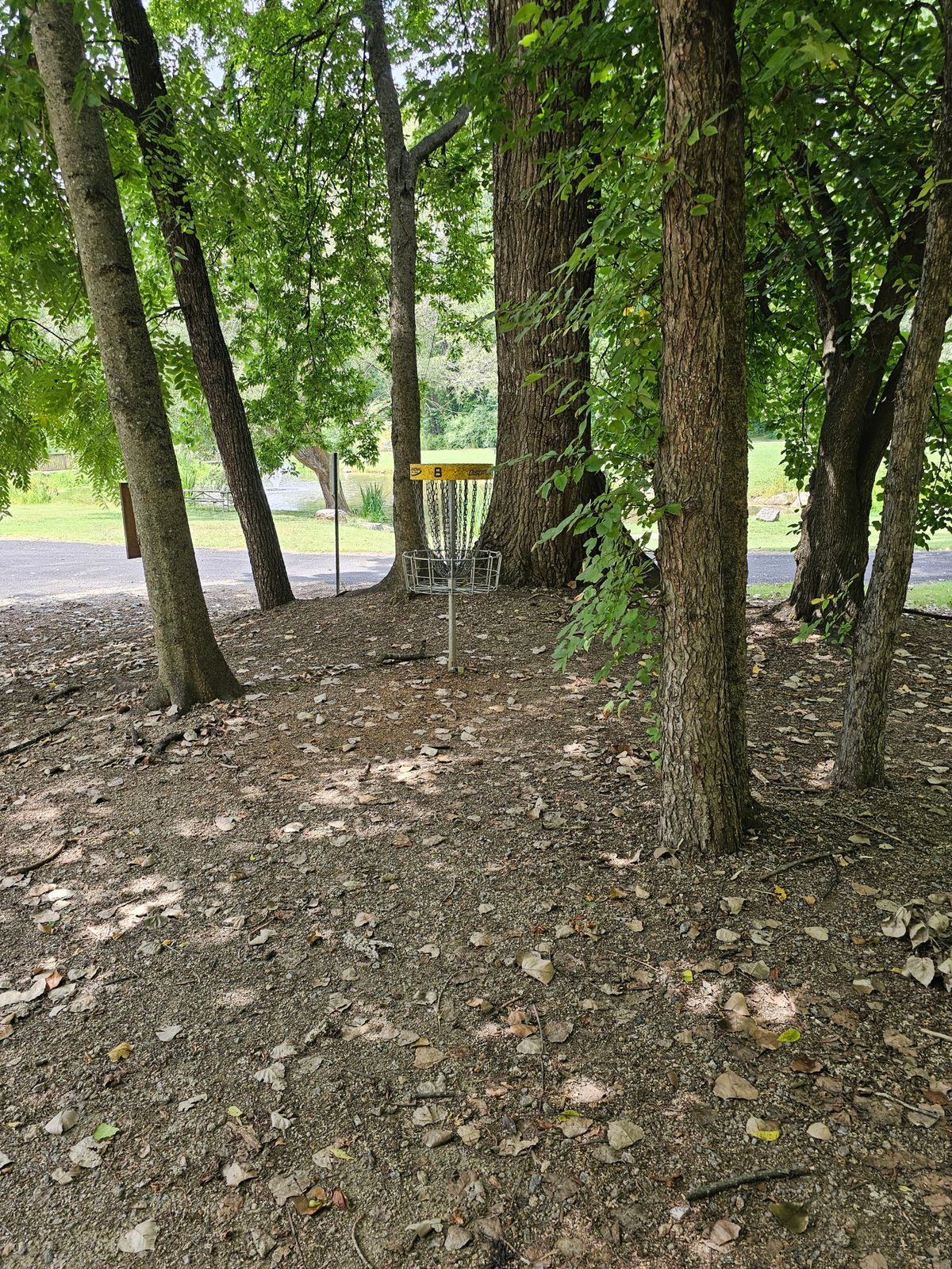 Hole 8's basket
