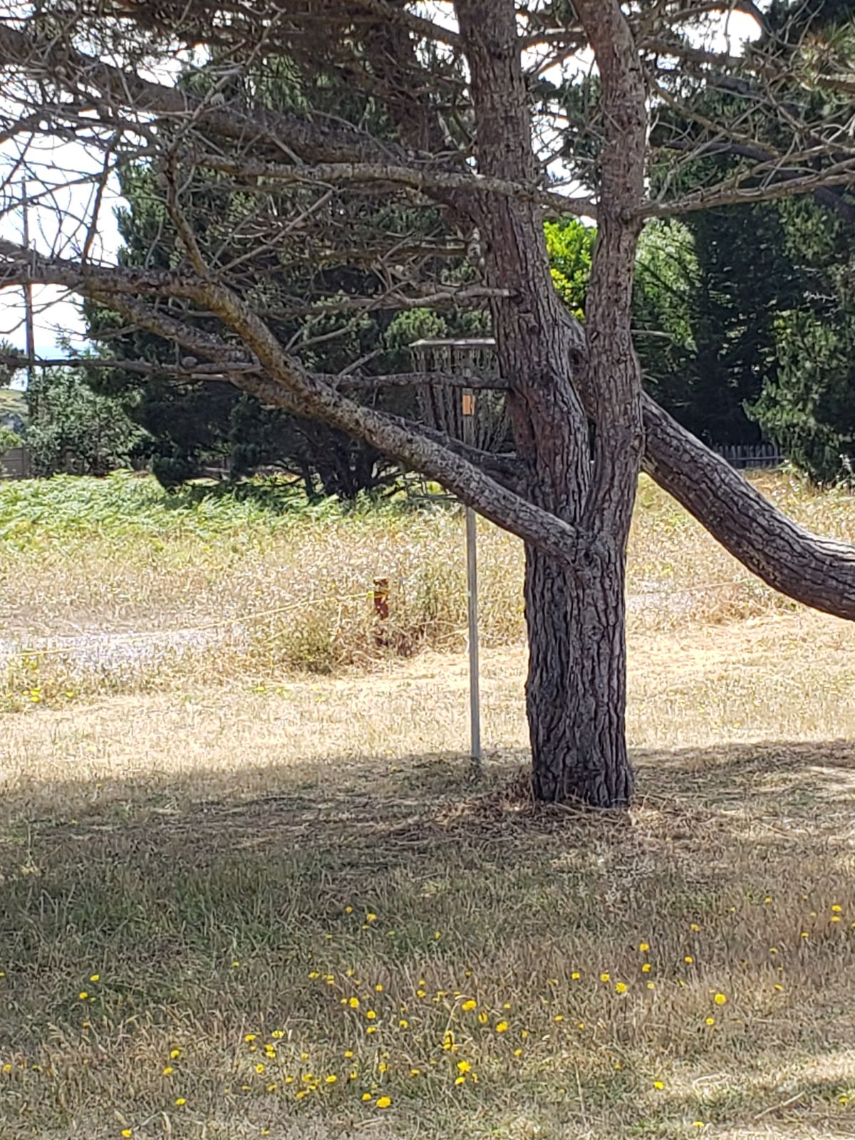 Hole 2