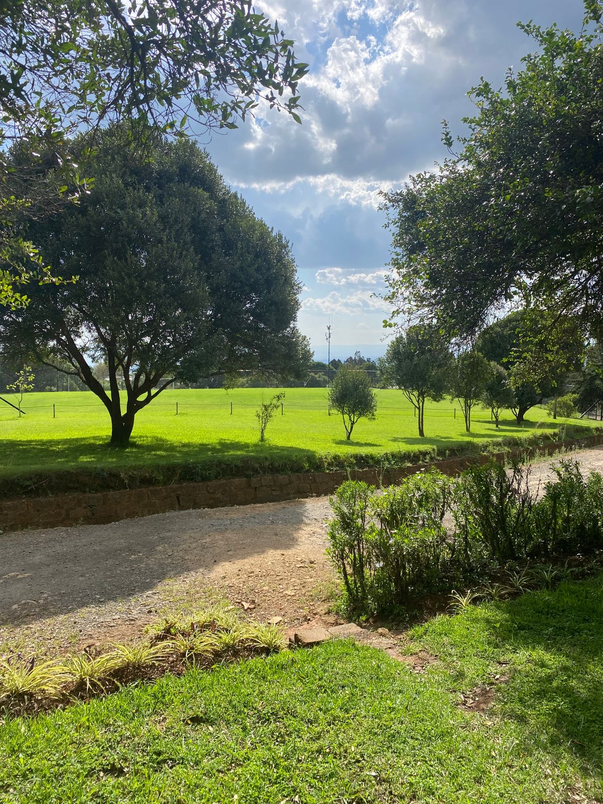 Tee off of hole 1