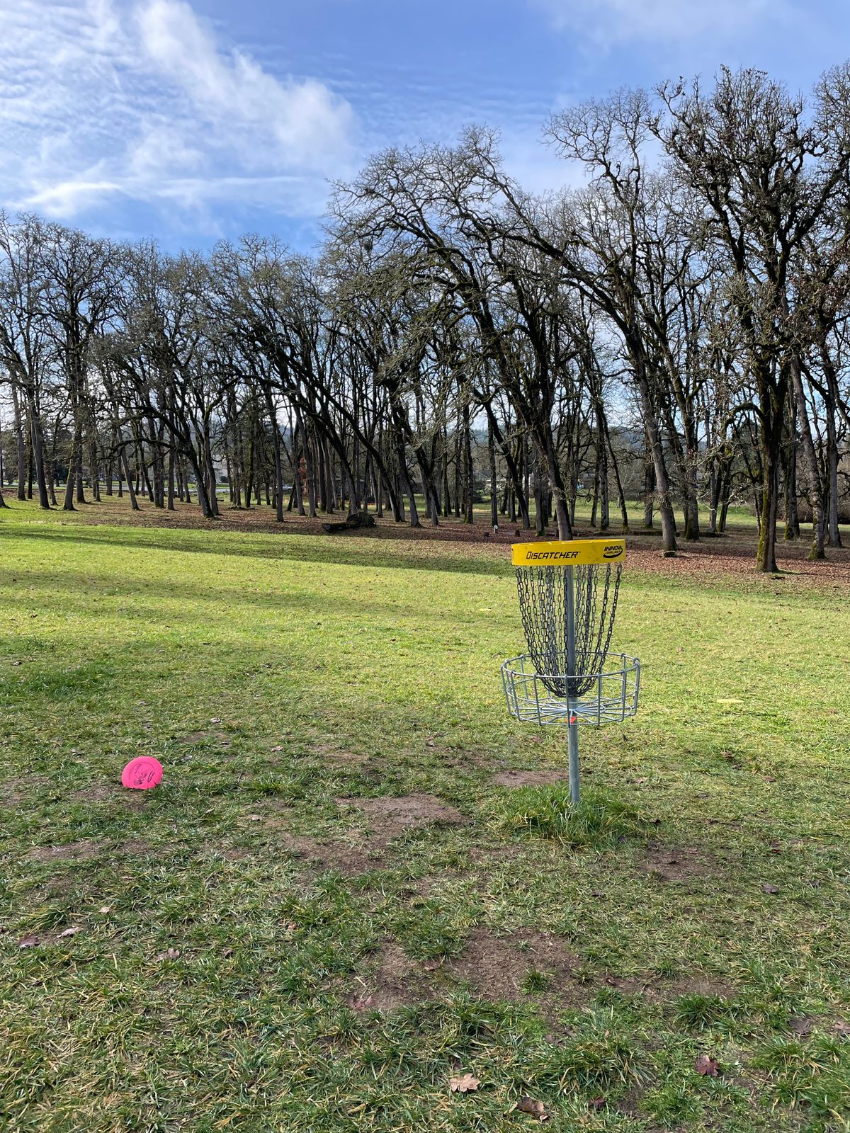 Hole 17 basket on winter course.