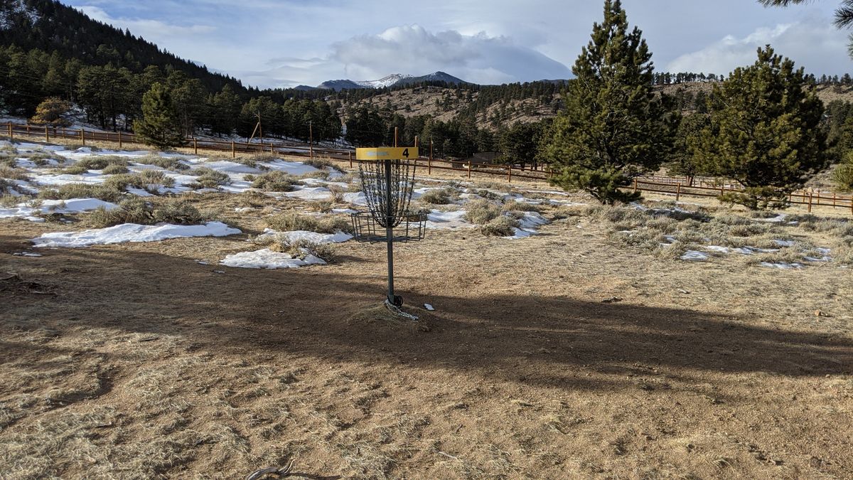Hole 4 basket.