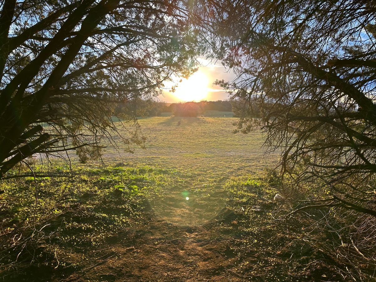 View from #2 Tee Box
