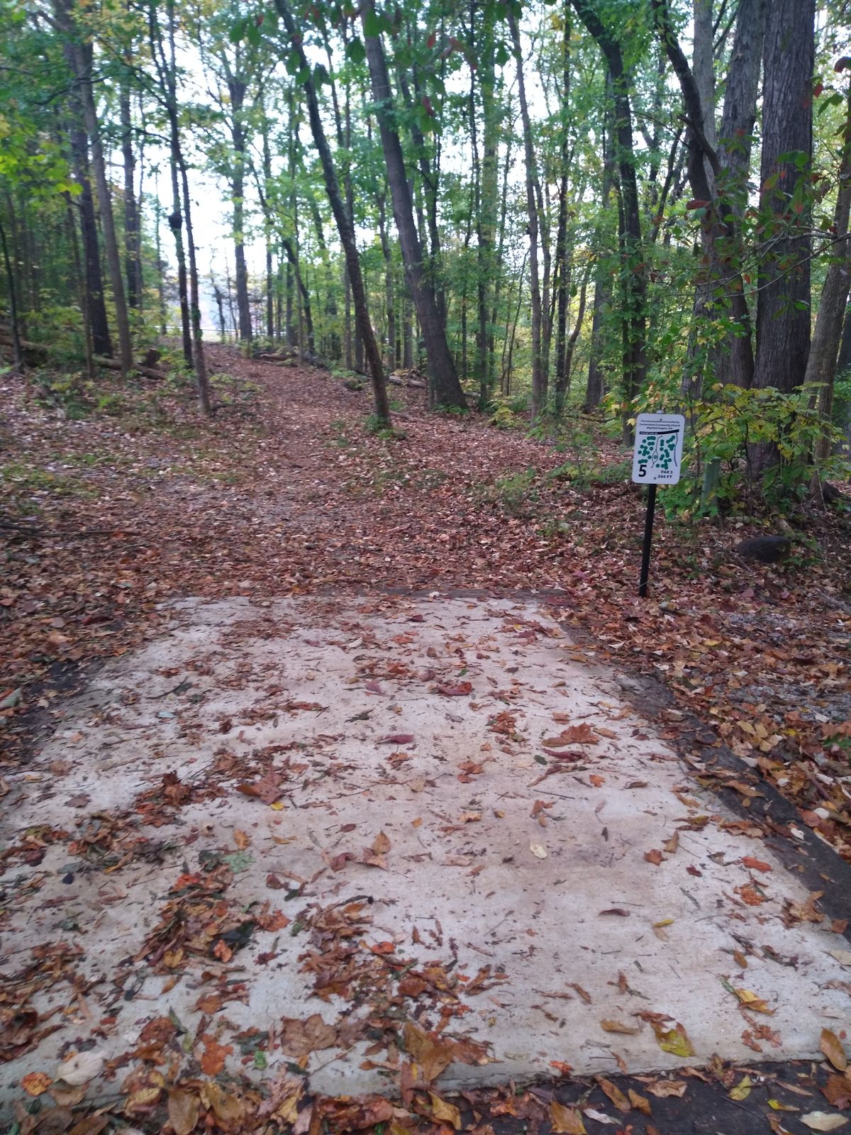 tee box and fairway
