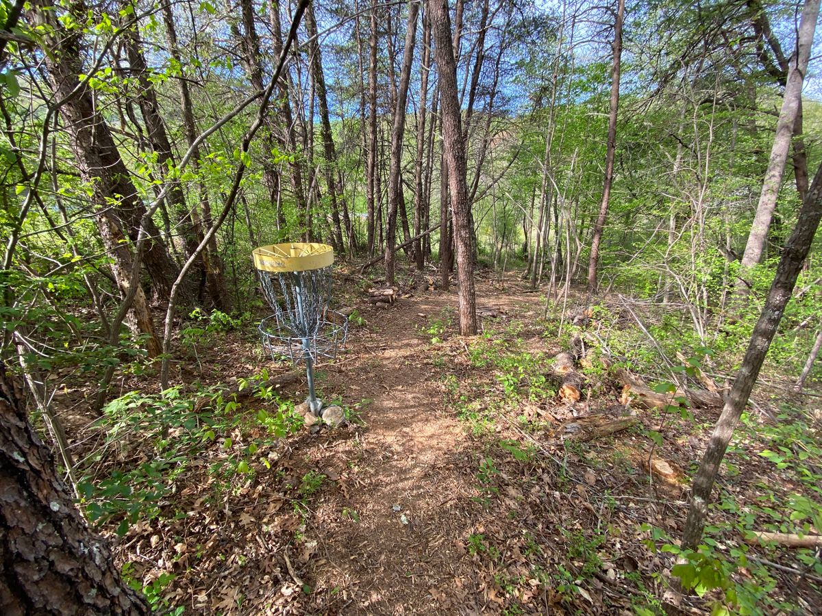 Hole 2 green.