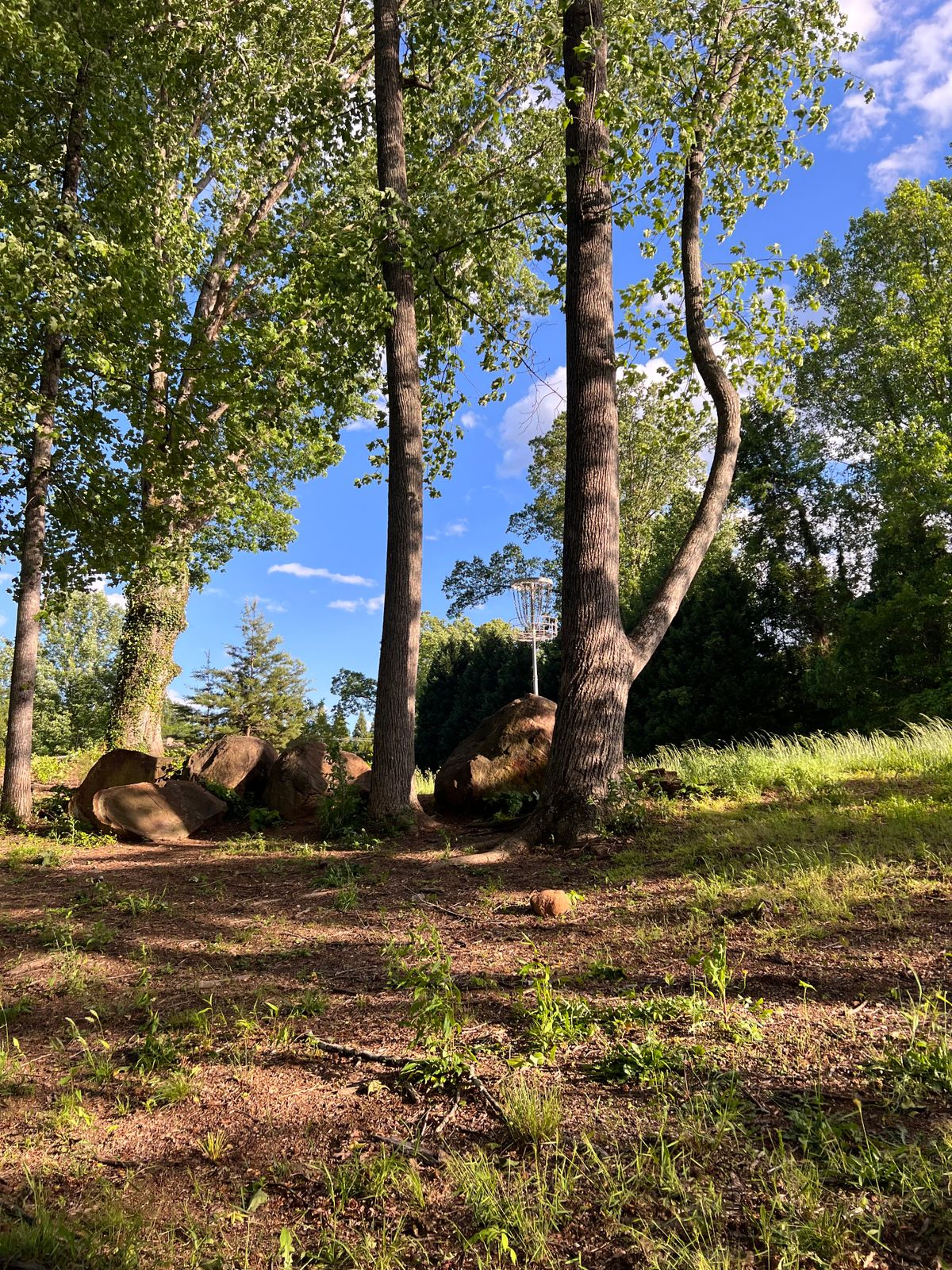 Green of hole 3