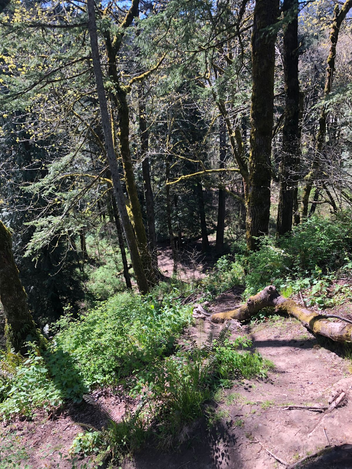 Hole 4