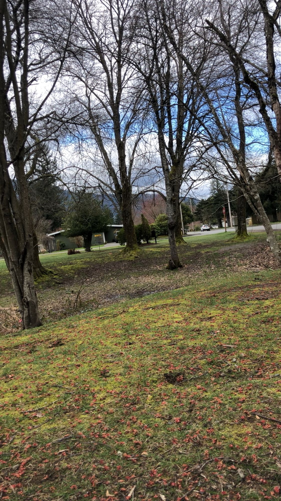 Hole 1