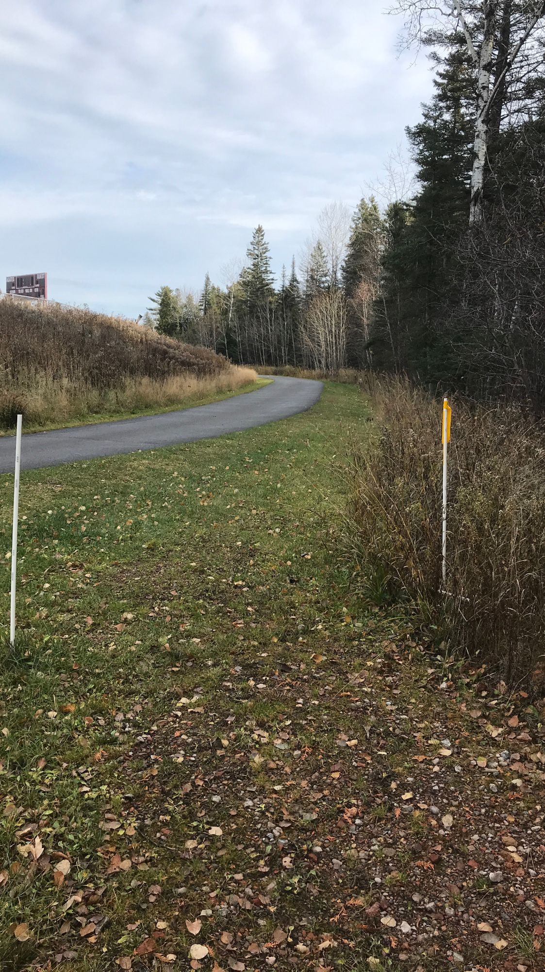 Trail to hole 5