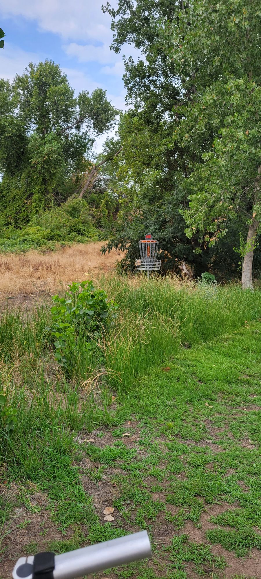 Fun Straight hole I think hole 14 or so...?