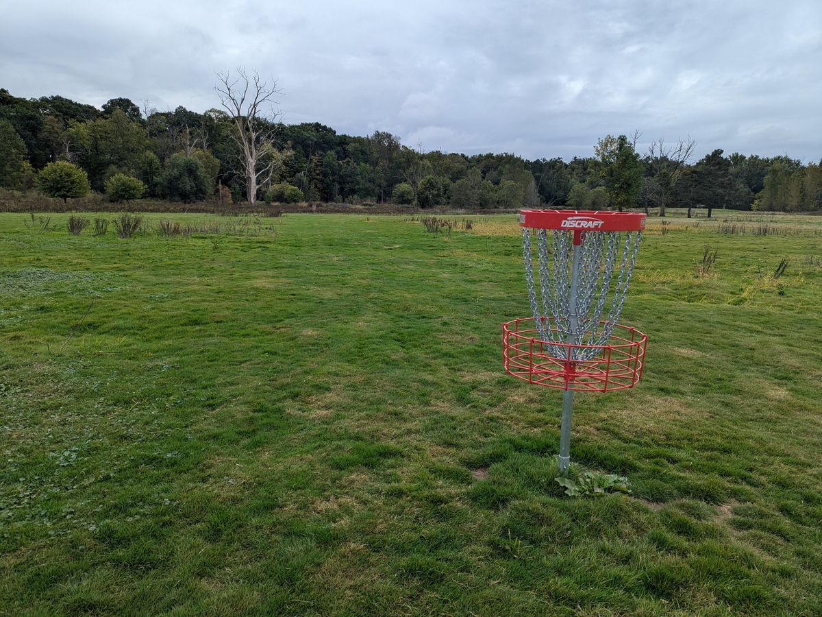 Hole 4, basket to tee