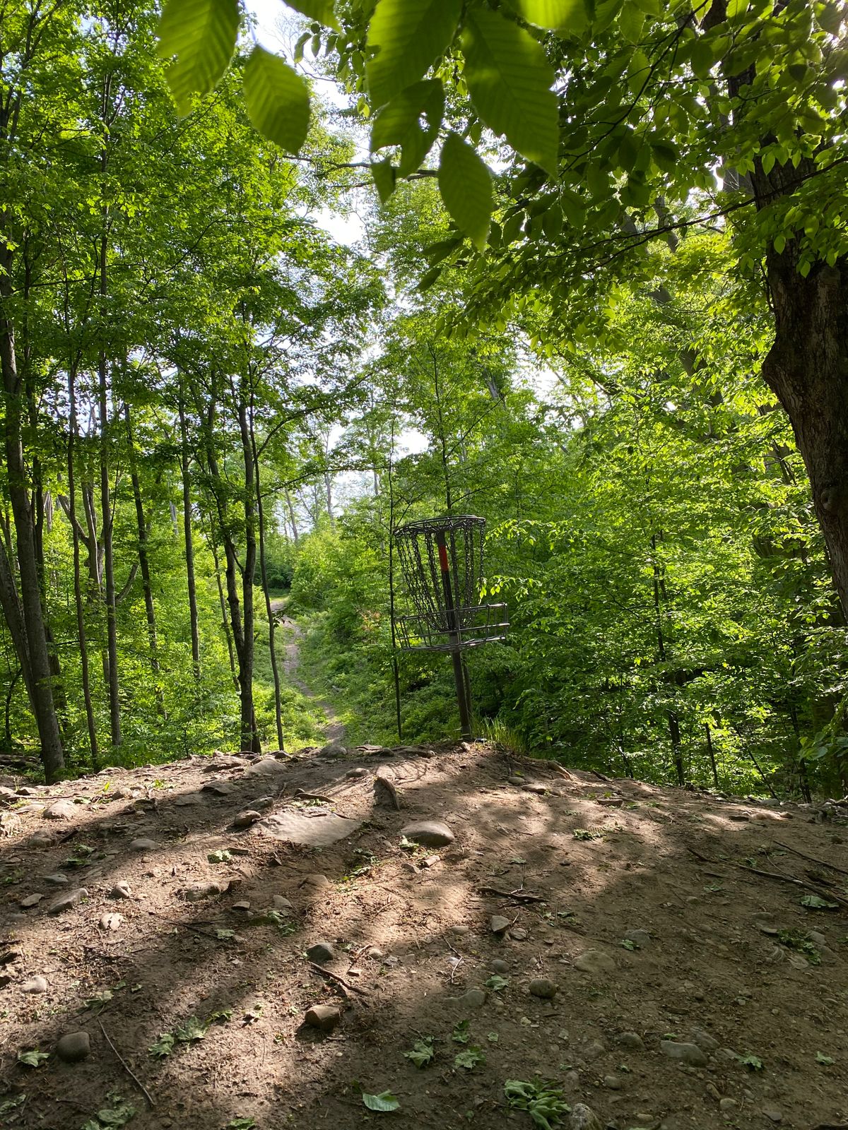 hole 16 looking back