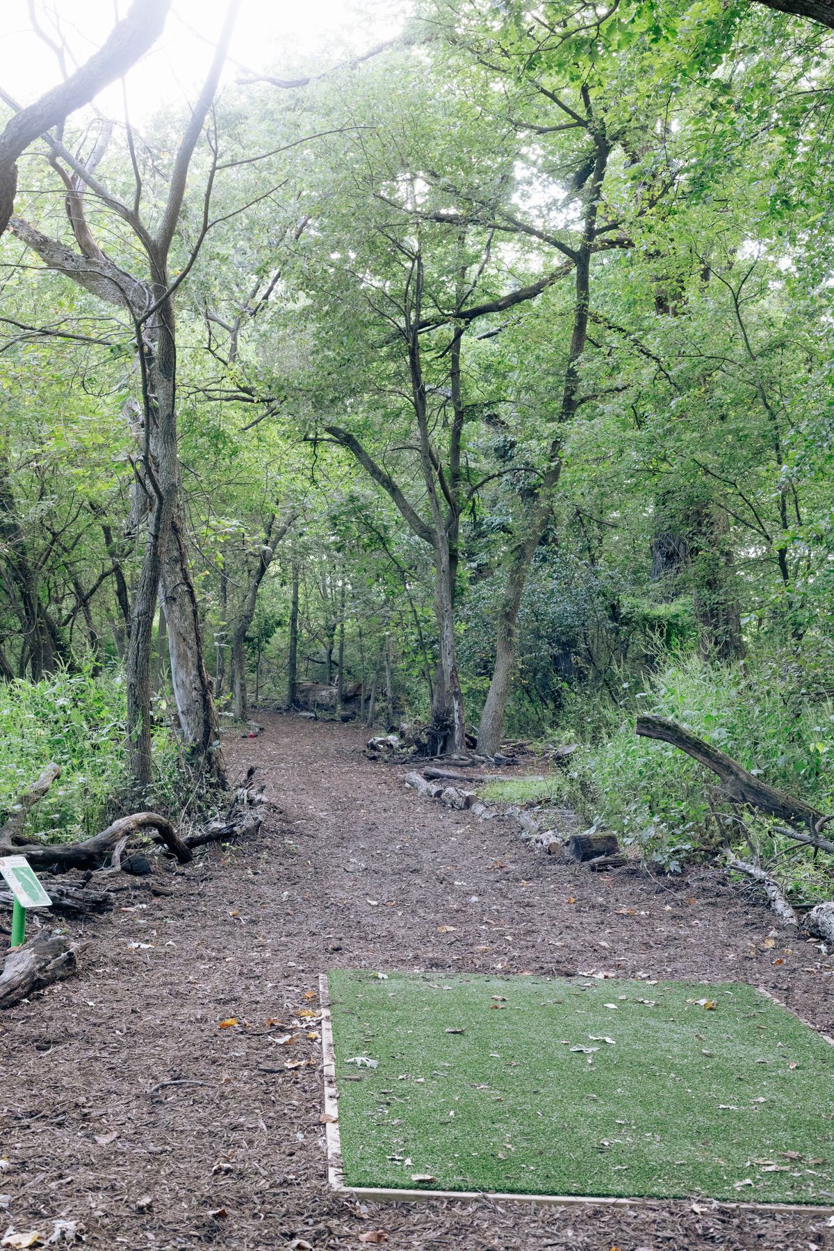 Hole 2