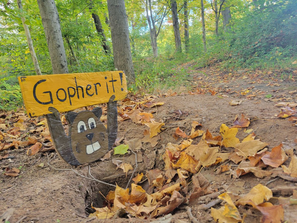 Hole 14 Flair