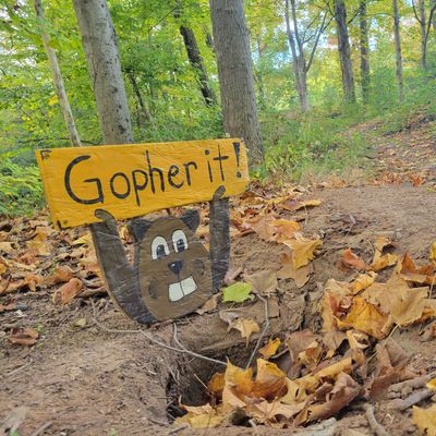 Hole 14 Flair
