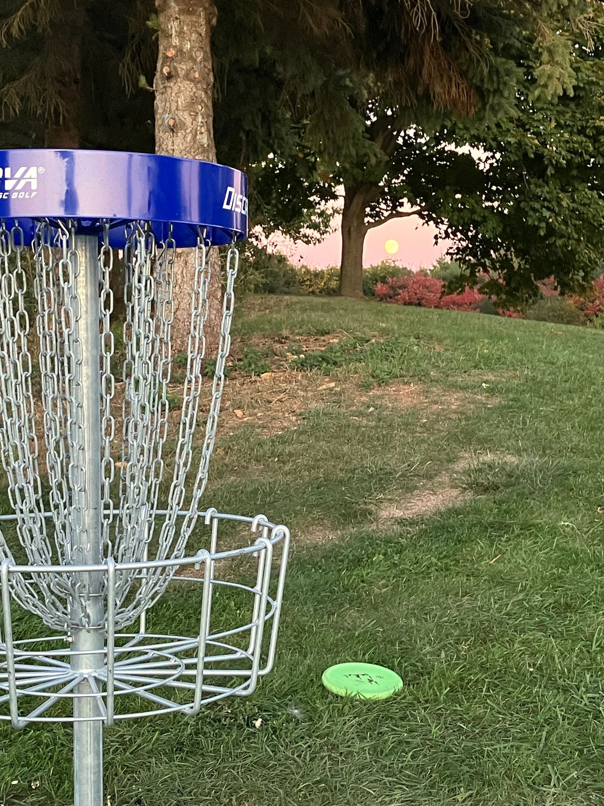 Hole 2 basket - Fall 2024