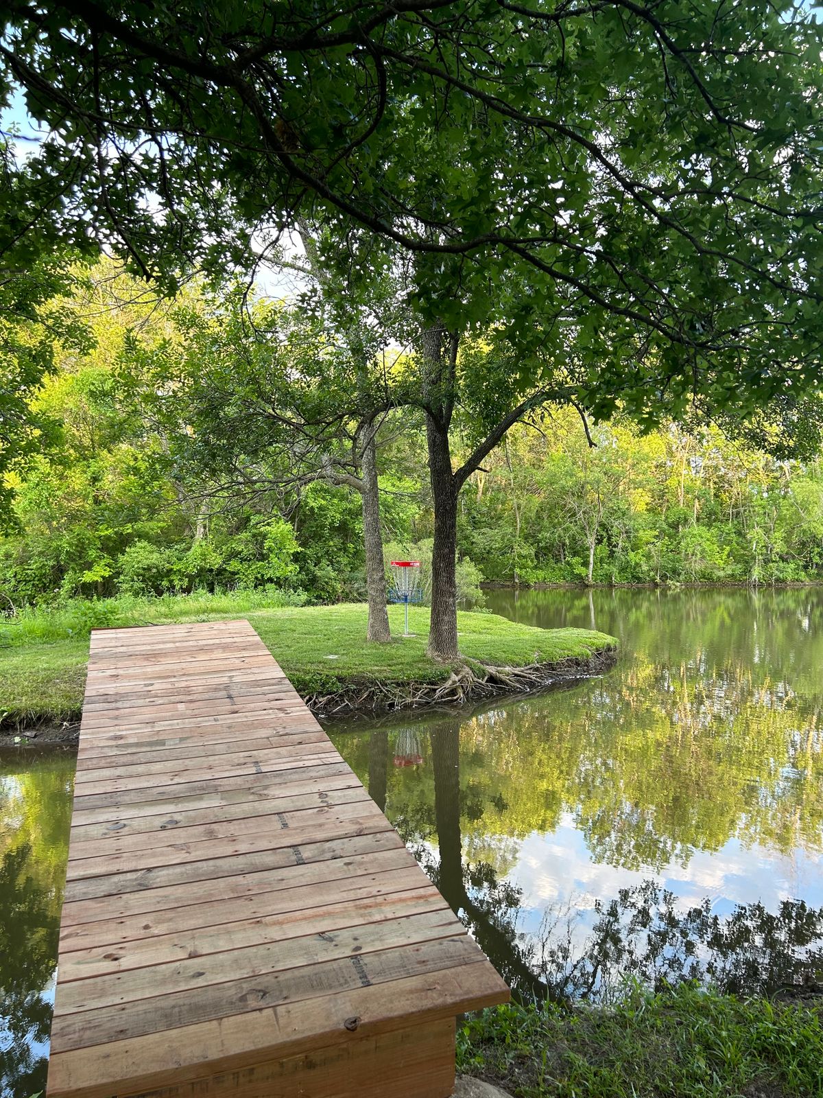Hole #11 Bridge to basket