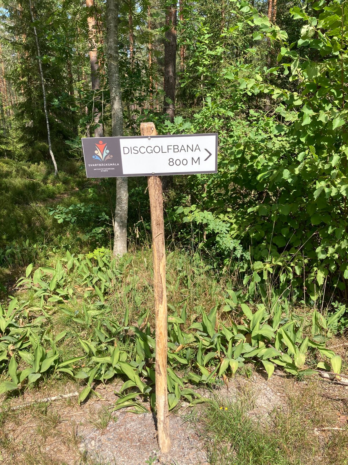 Från parkeringen till Hål 1 = 900-950m… :(