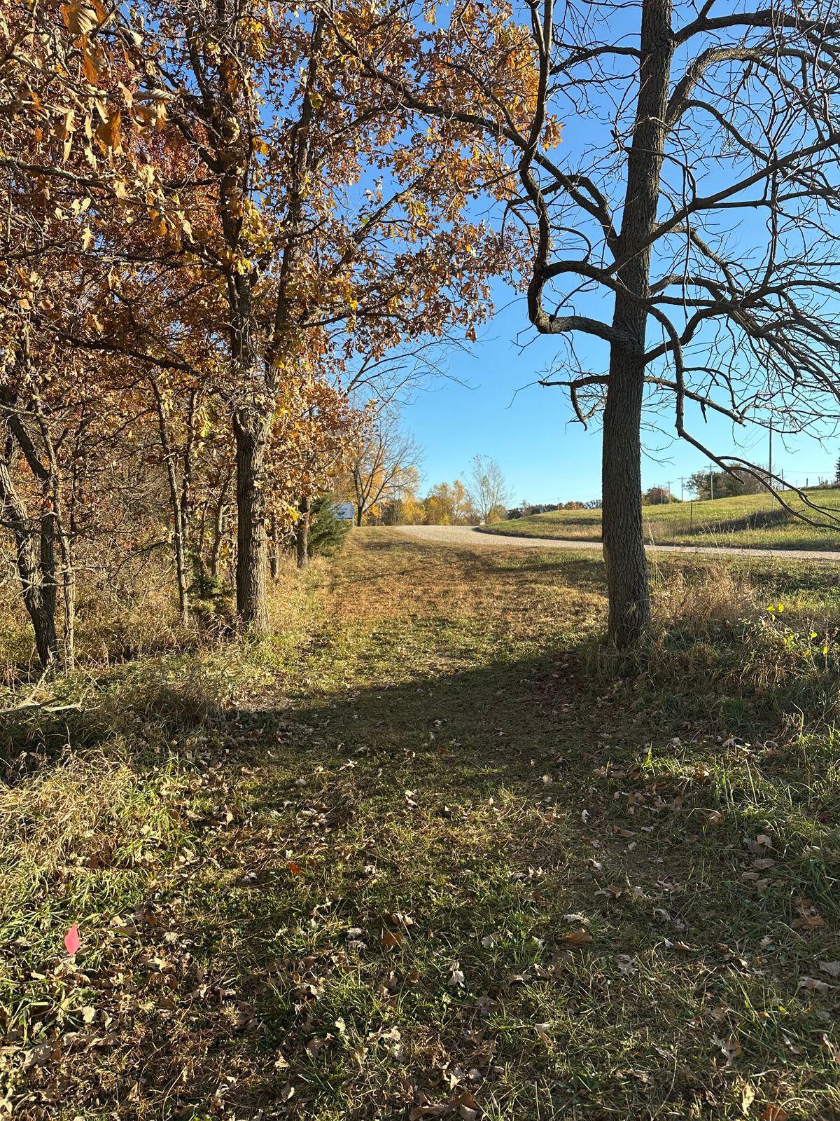 Hole 9. Road OB. Short pin is dogleg left after the sign. Longs is straight with low pin