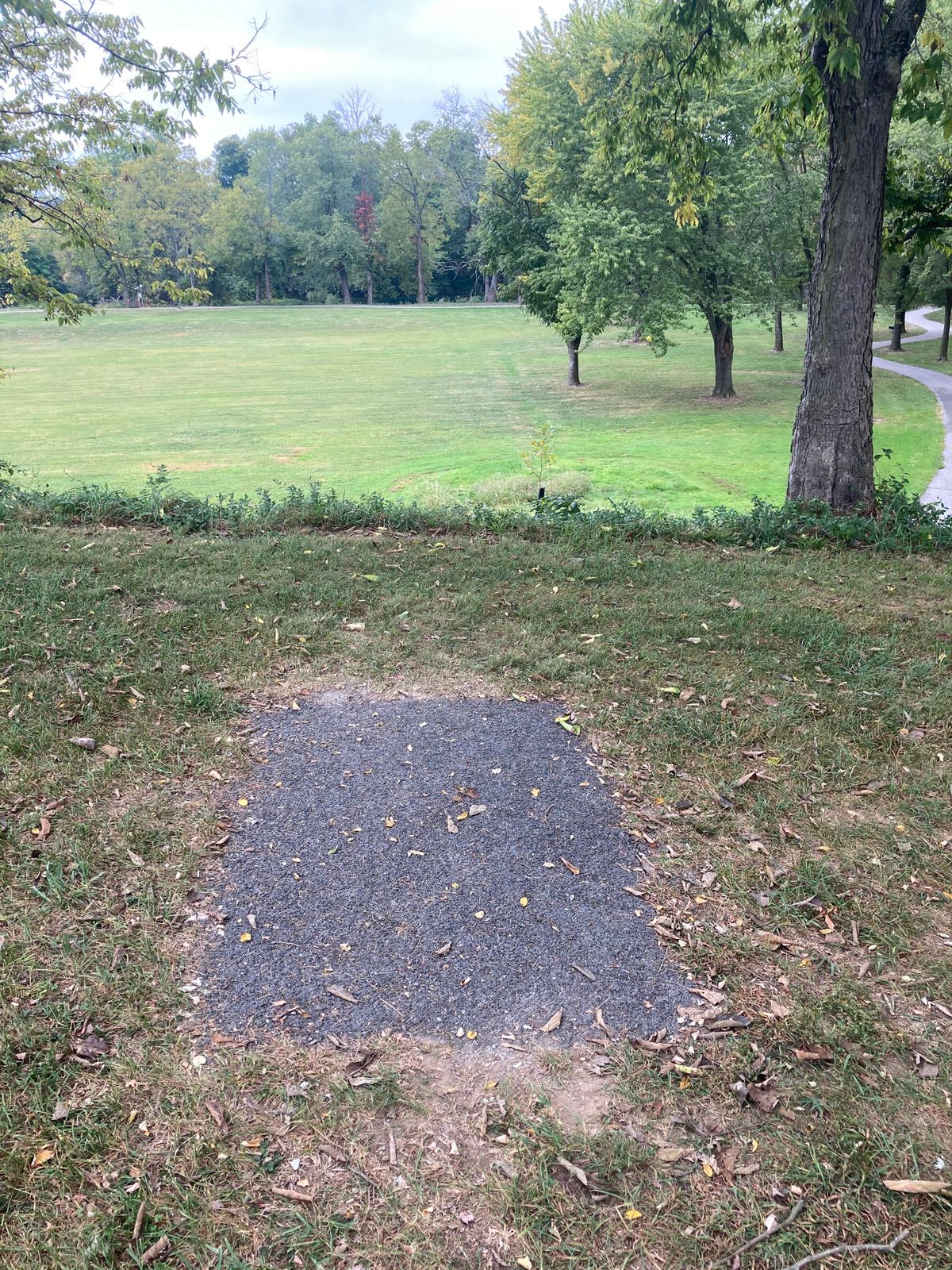 Hole 7