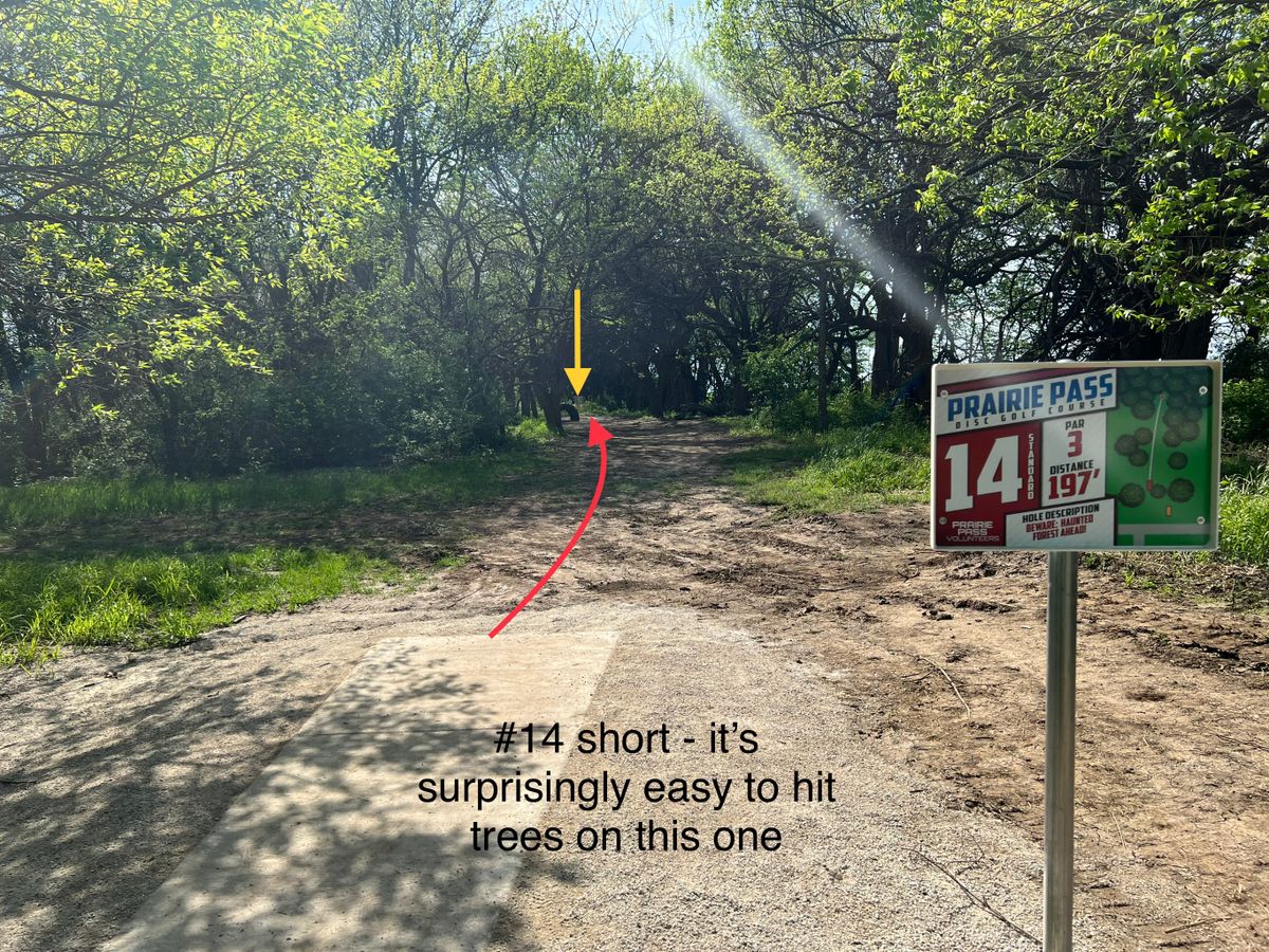 #14 - short