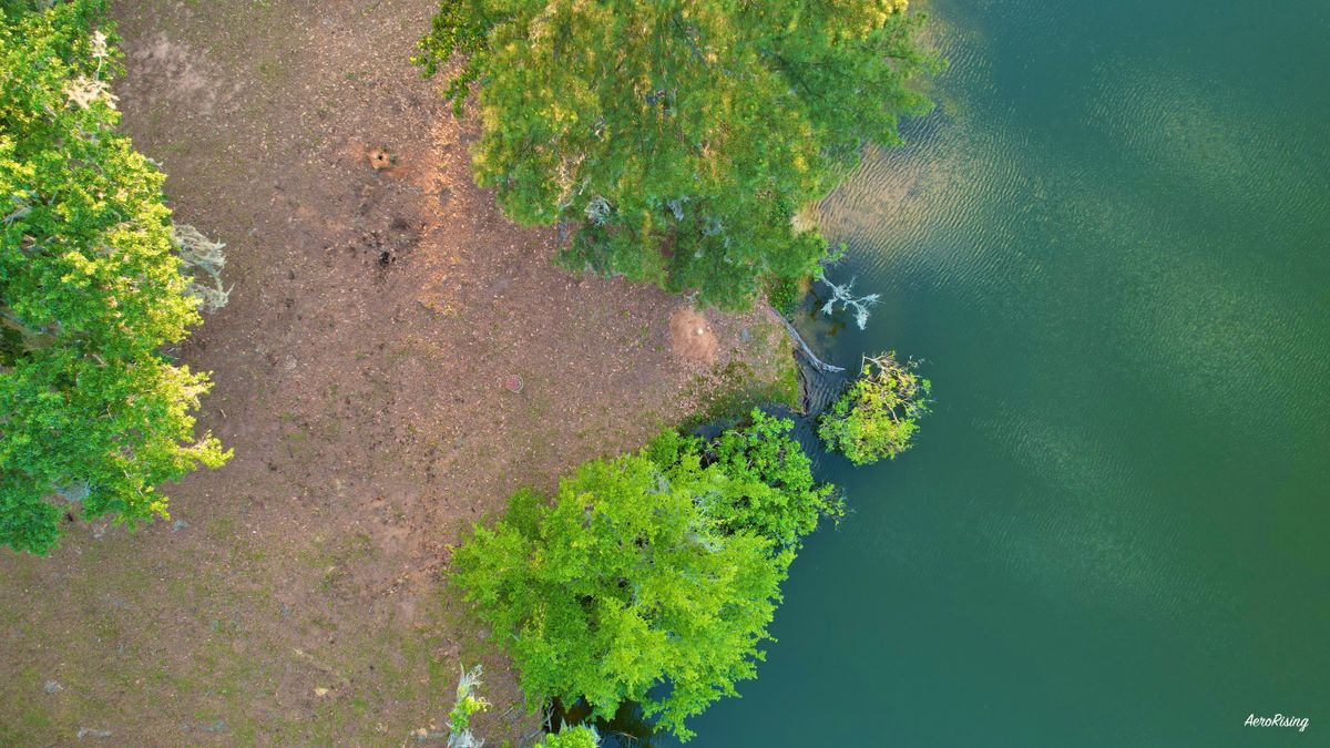 I spy a basket! 🕵️‍♂️