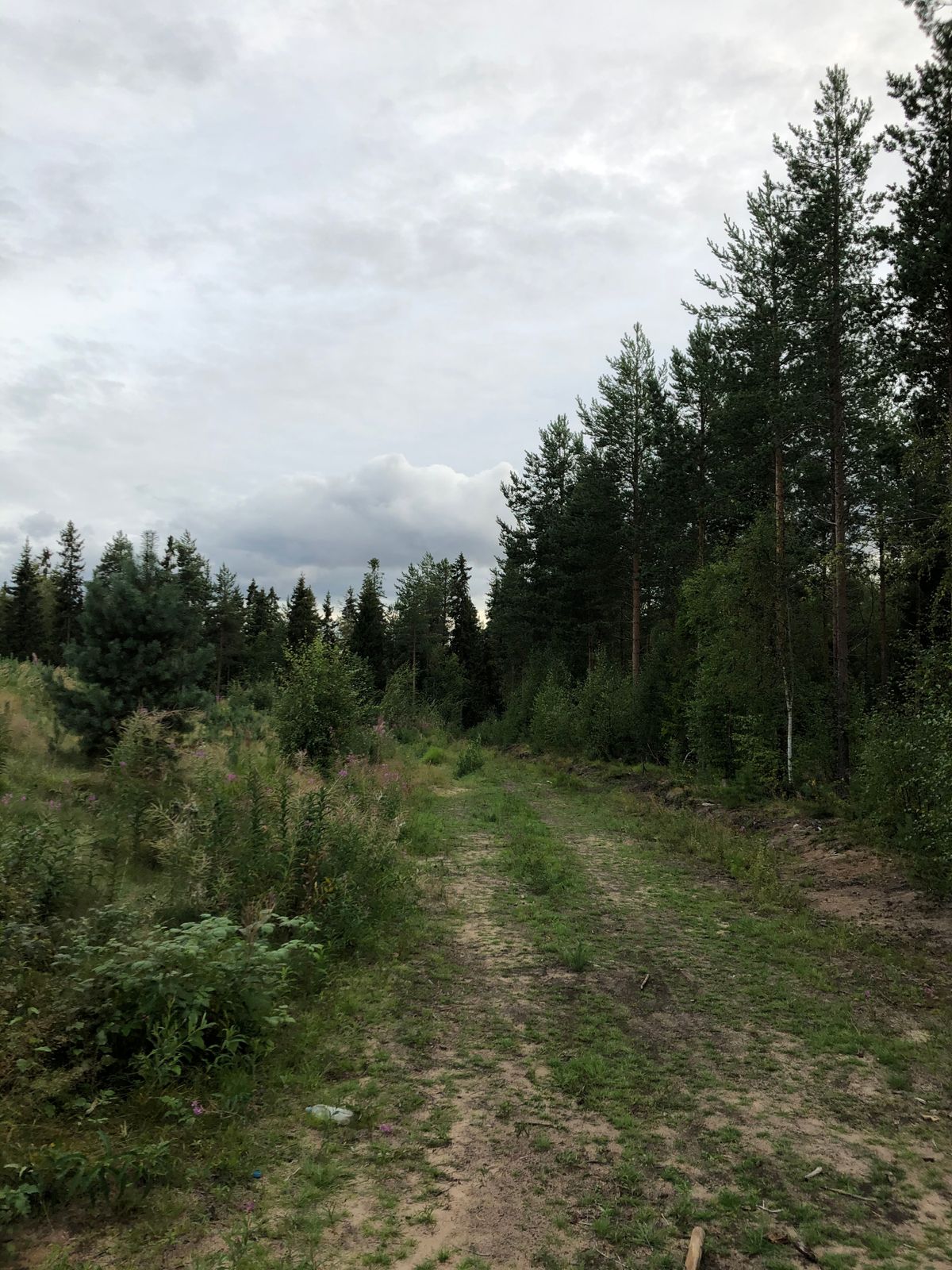 Väylä 2.