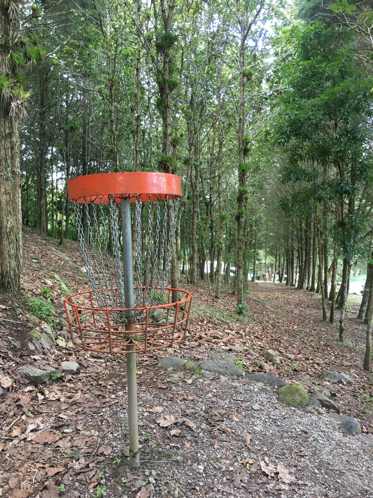 Hole 1 Basket to Tee