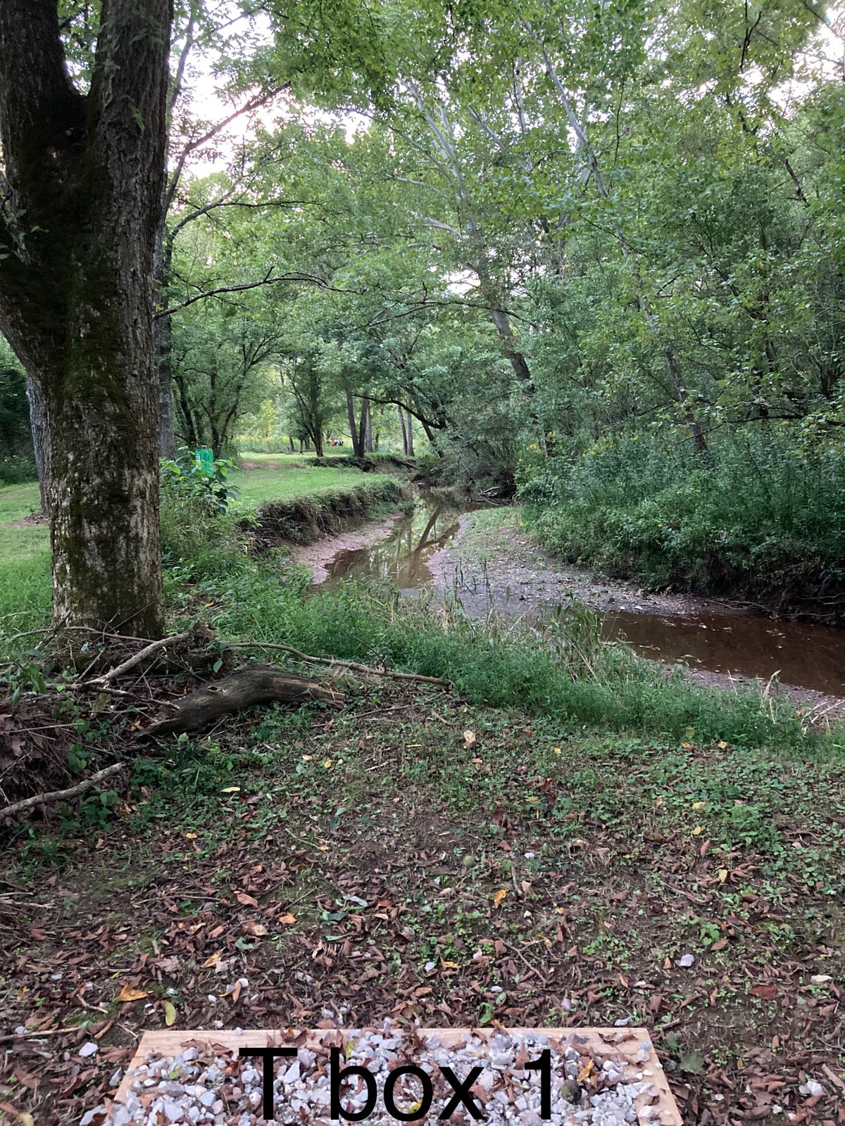 T box 1 hole 13
